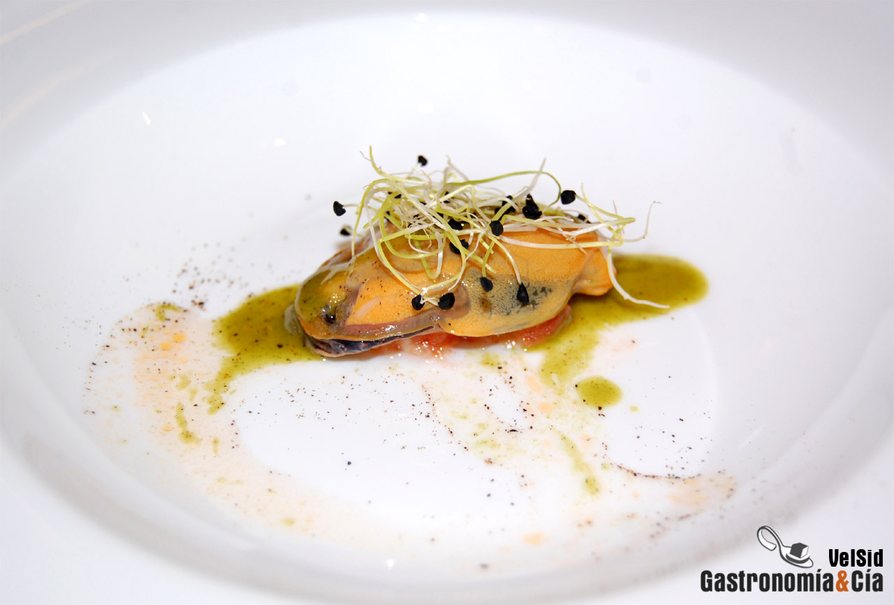 Presentación del Concurso de Langostinos de Vinaròs 201