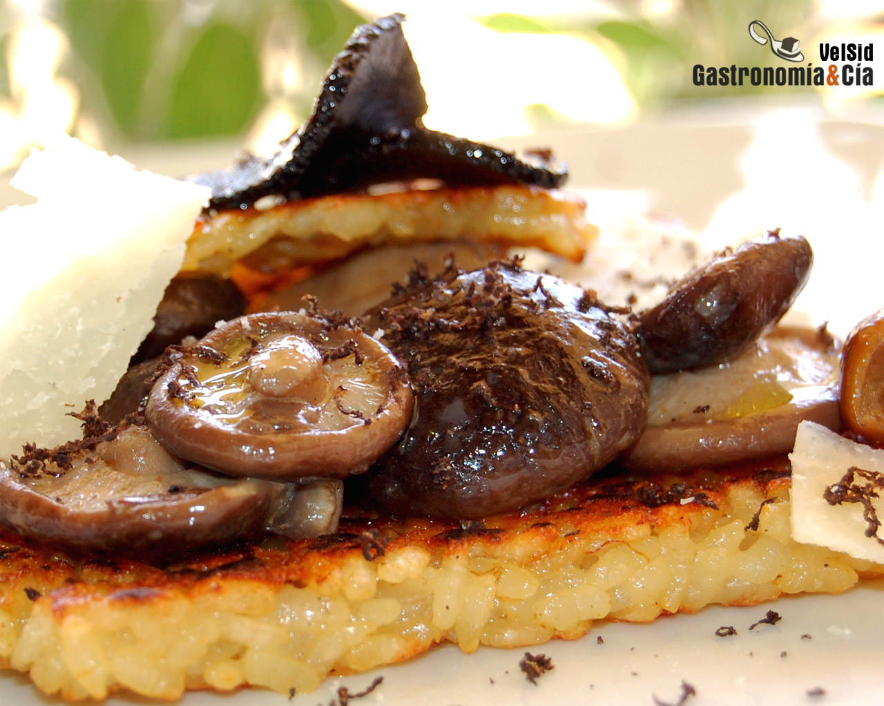 Lasaña de arroz socarrat con shiitake y trufa negra
