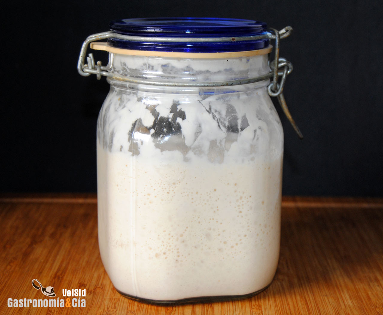 Masa madre natural de Dan Lepard