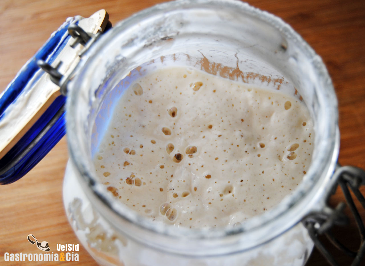 Masa madre natural de Dan Lepard