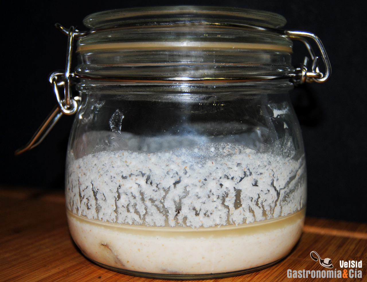 Masa madre natural de Dan Lepard