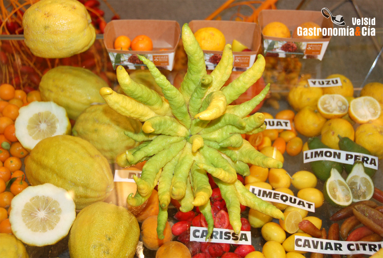 Lo Mejor de la Gastronomía 2009