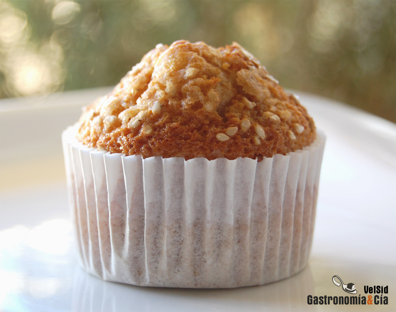 Magdalenas integrales