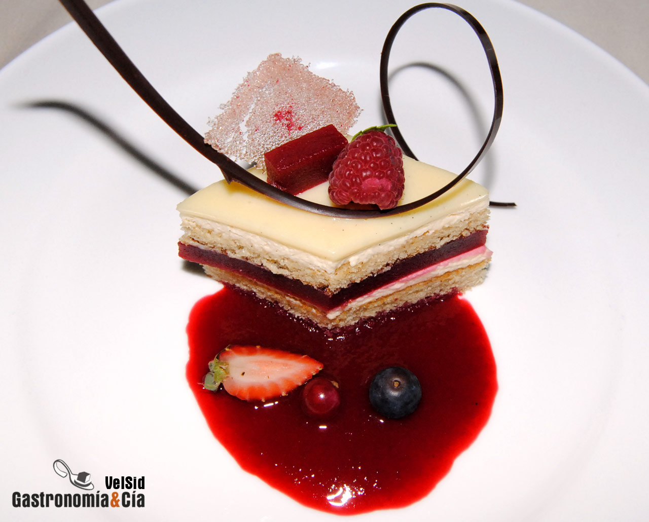 Menú degustación noviembre 2010