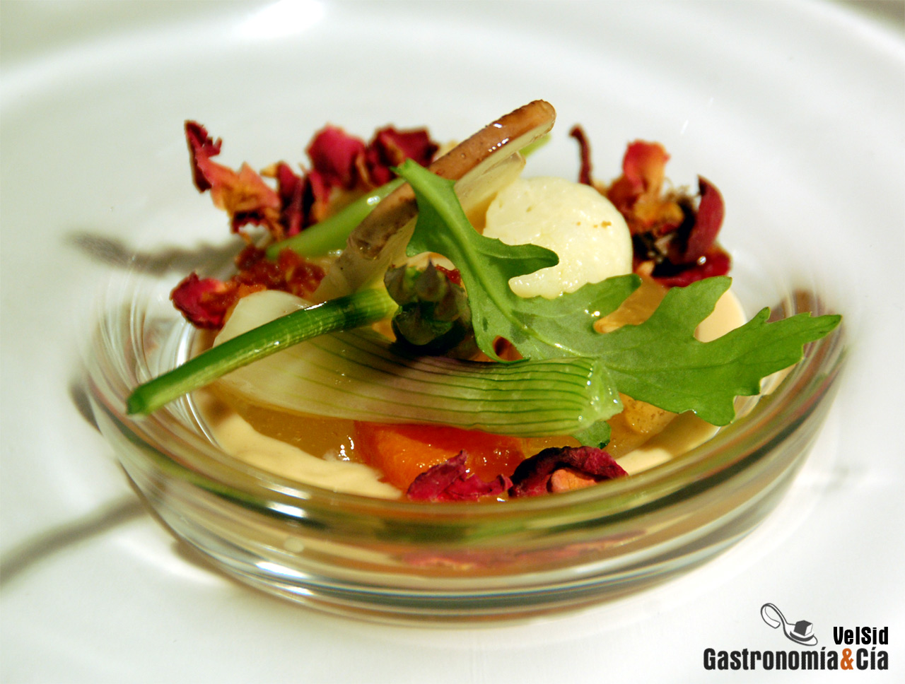 El concurso en imágenes