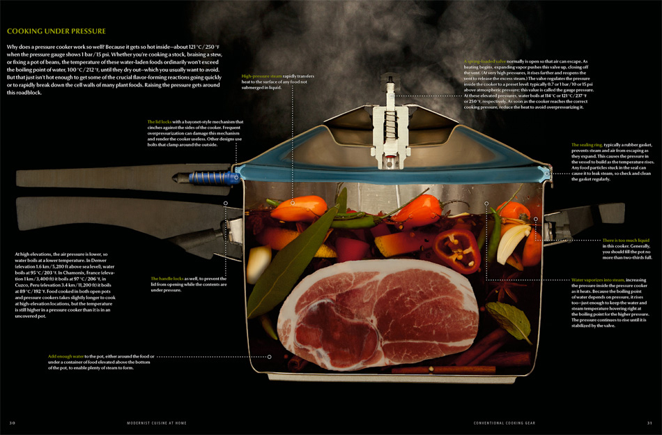 Modernist Cuisine at Home