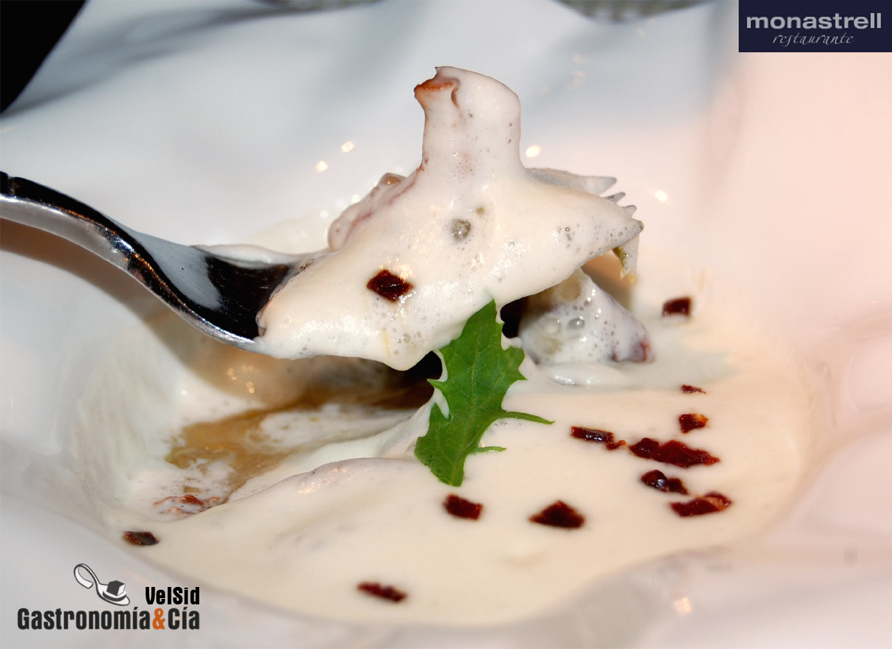 María José San Román