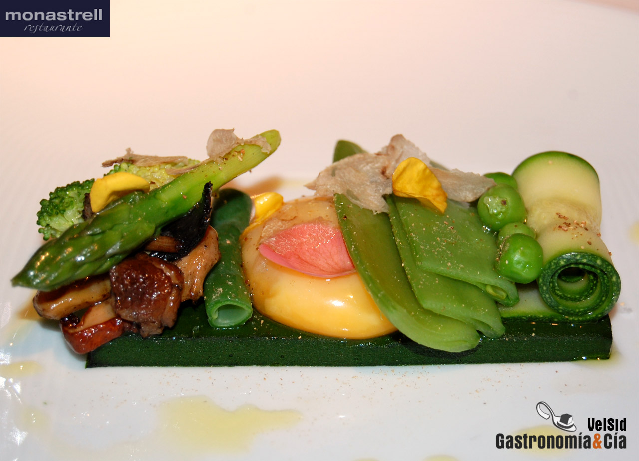 María José San Román