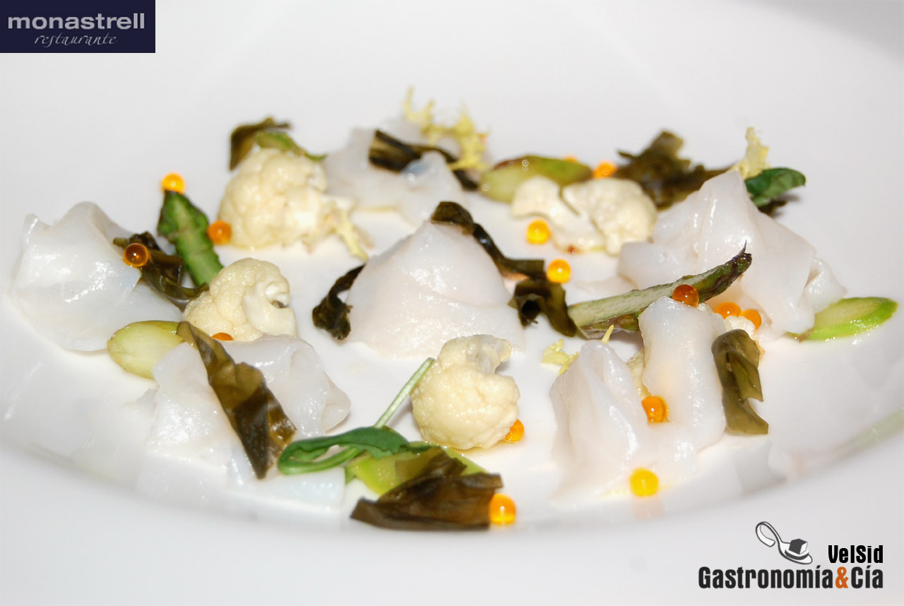 María José San Román