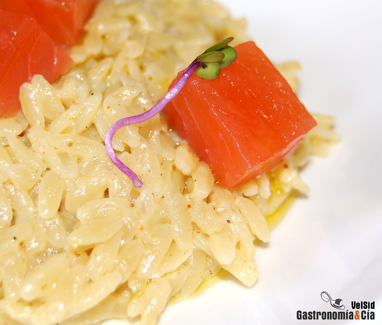 Orzo con salmón marinado, coco y vainilla
