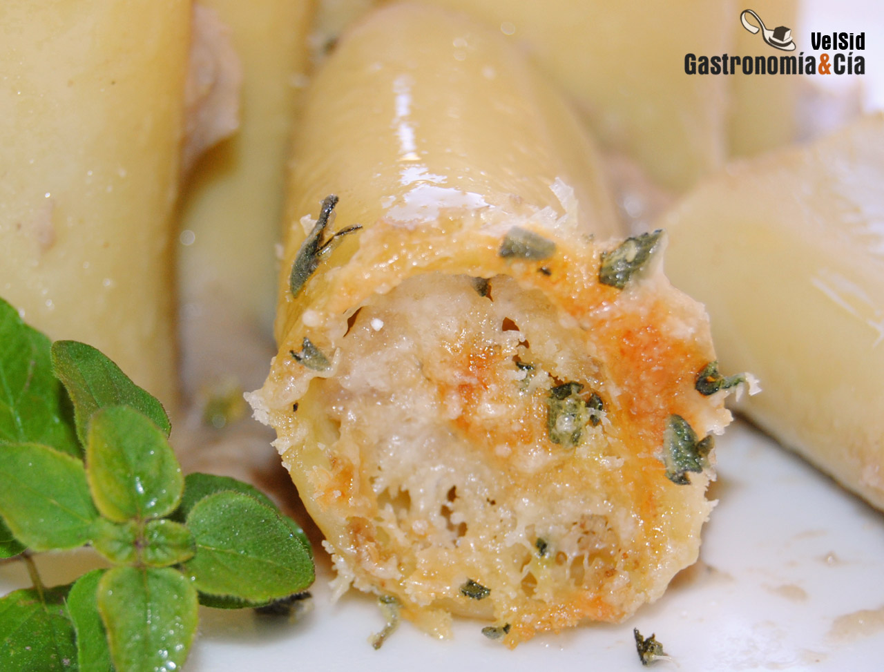 Paccheri rellenos de setas y coliflor