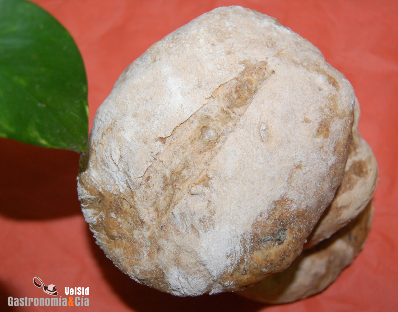 Pan de centeno y tapenade