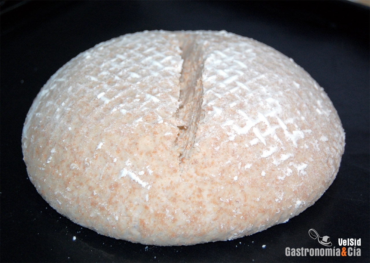 Pan de trigo integral