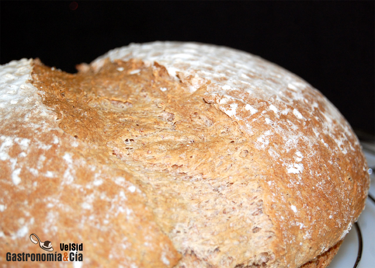 Pan de trigo integral