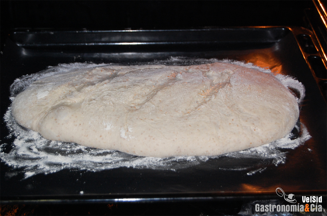 Pan con masa madre de nueve días