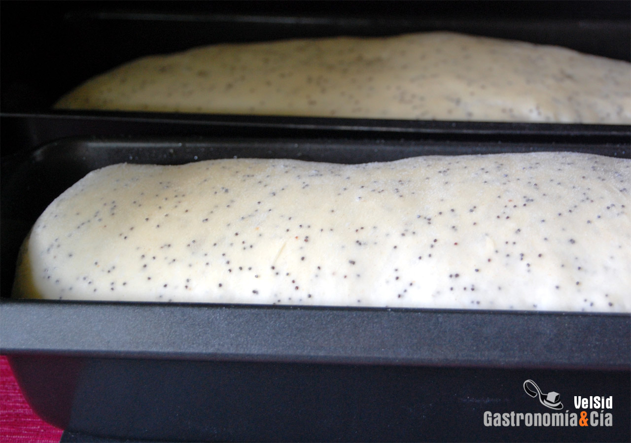 Pan de molde con semillas de amapola