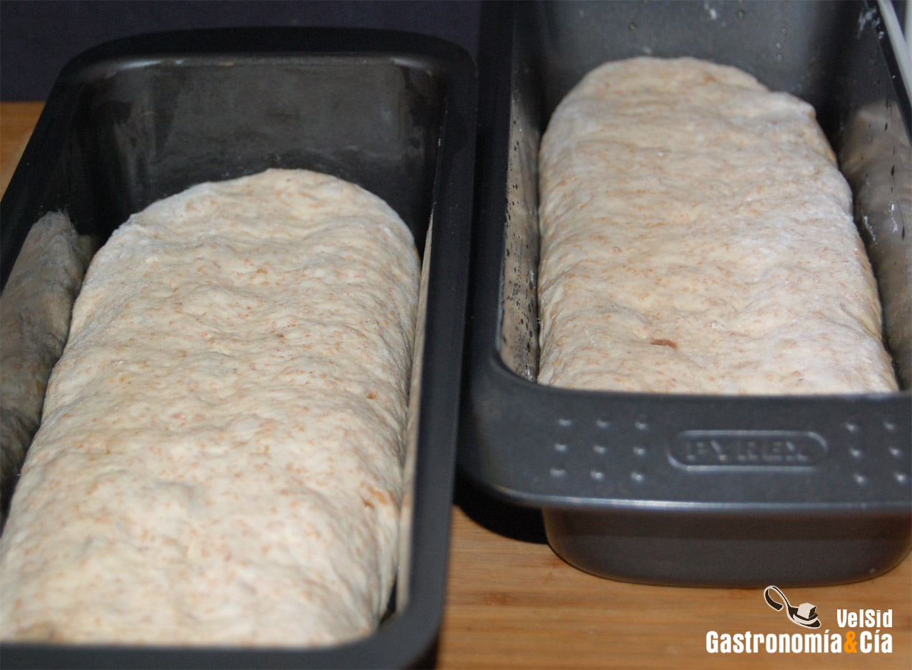 Pan de molde con pasas y yogur