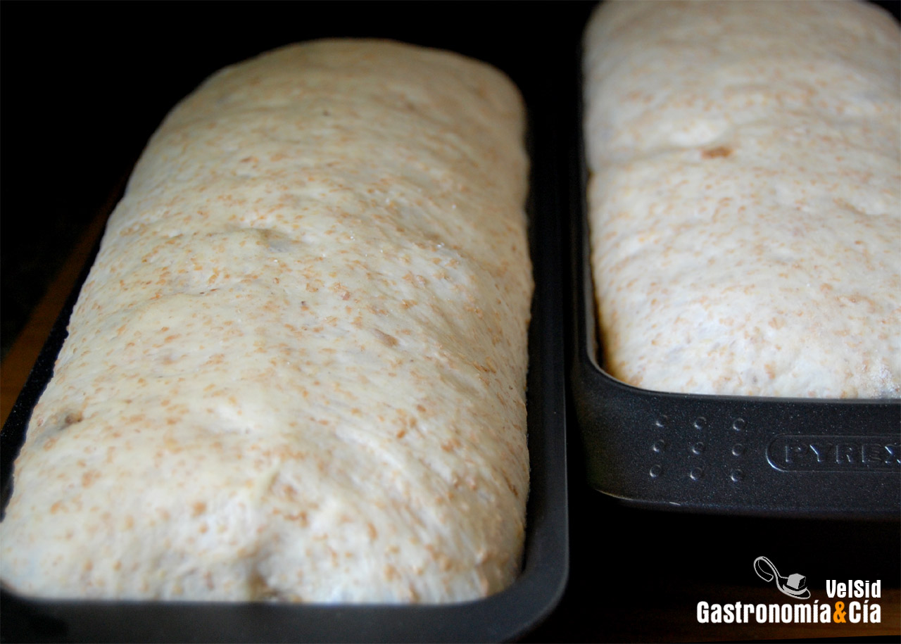 Pan de molde con pasas y yogur