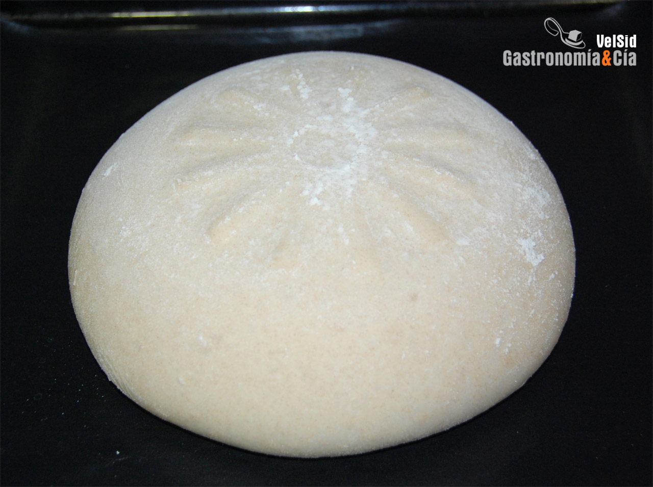 Pan de harina ecológica Mulino Marino