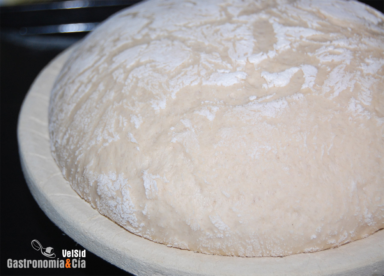 Pan con preparado panario