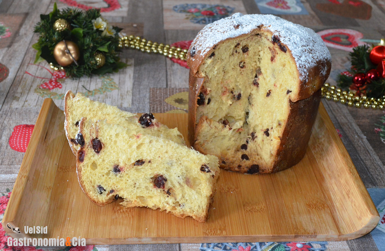 Panettone con chocolate y arándanos. Receta de Navidad