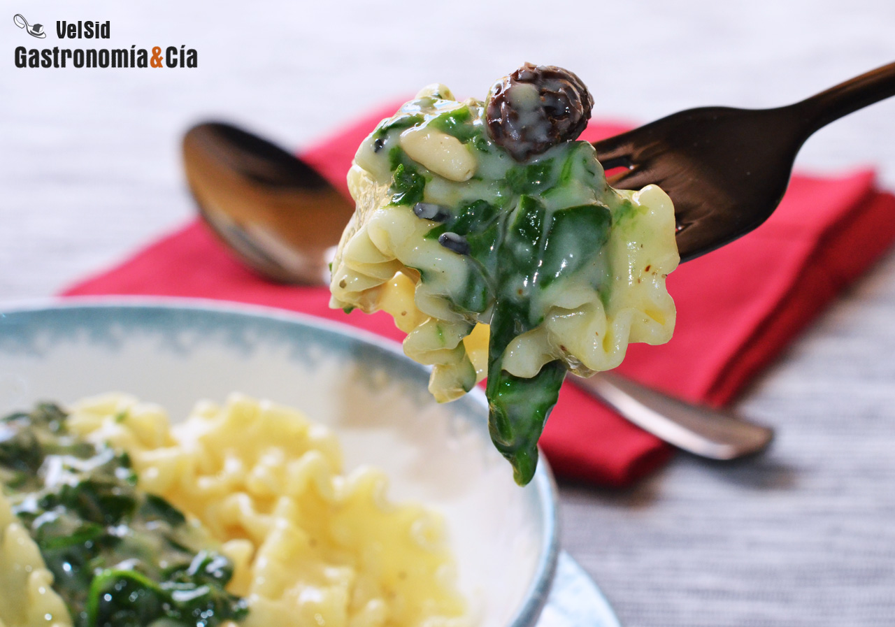 Pasta mafalda con bechamel de espinacas