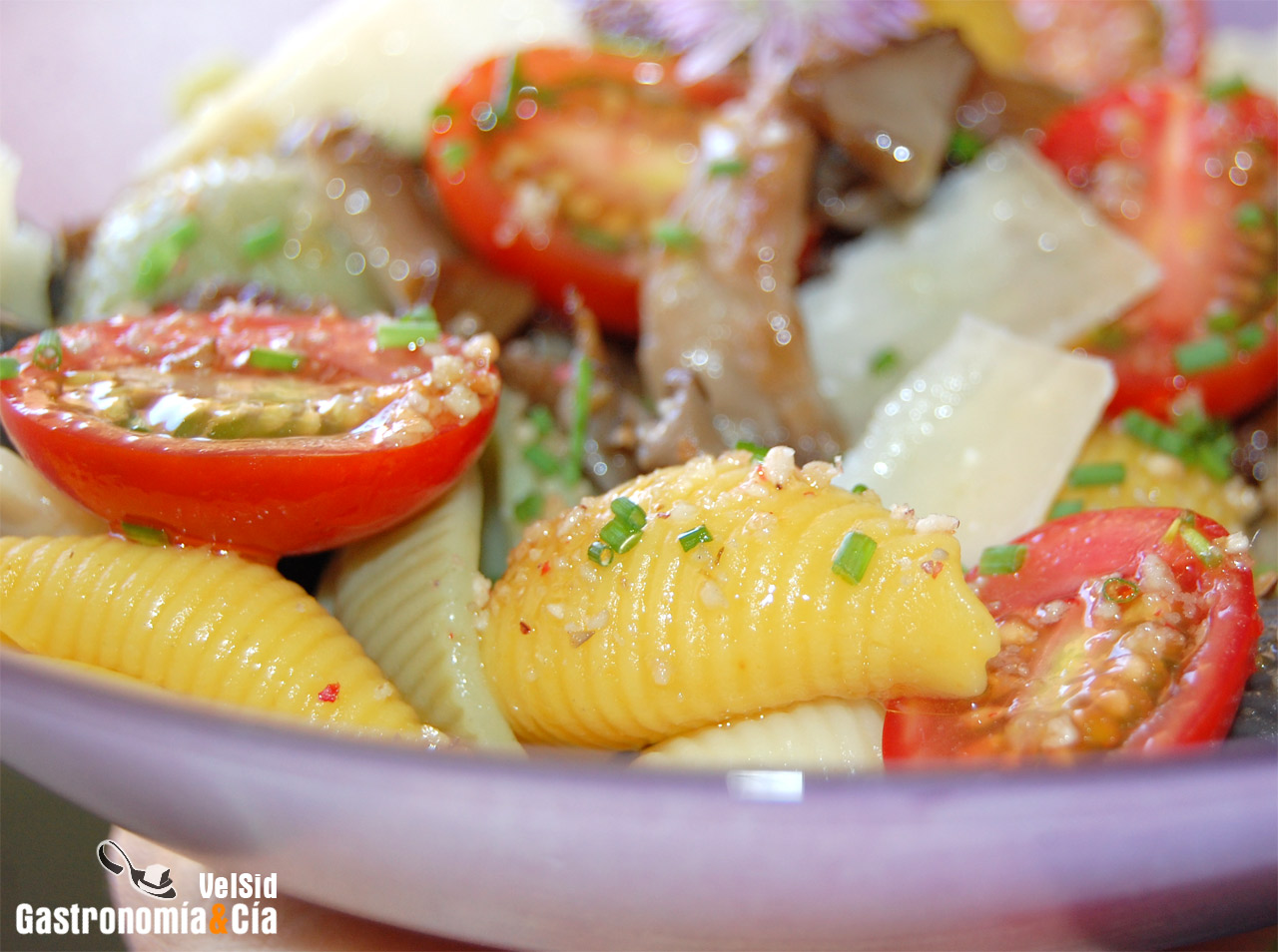 Ensalada de pasta, setas de cardo y parmesano