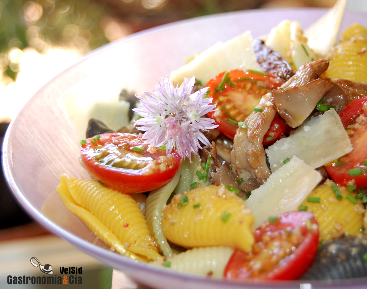 Ensalada de pasta, setas de cardo y parmesano