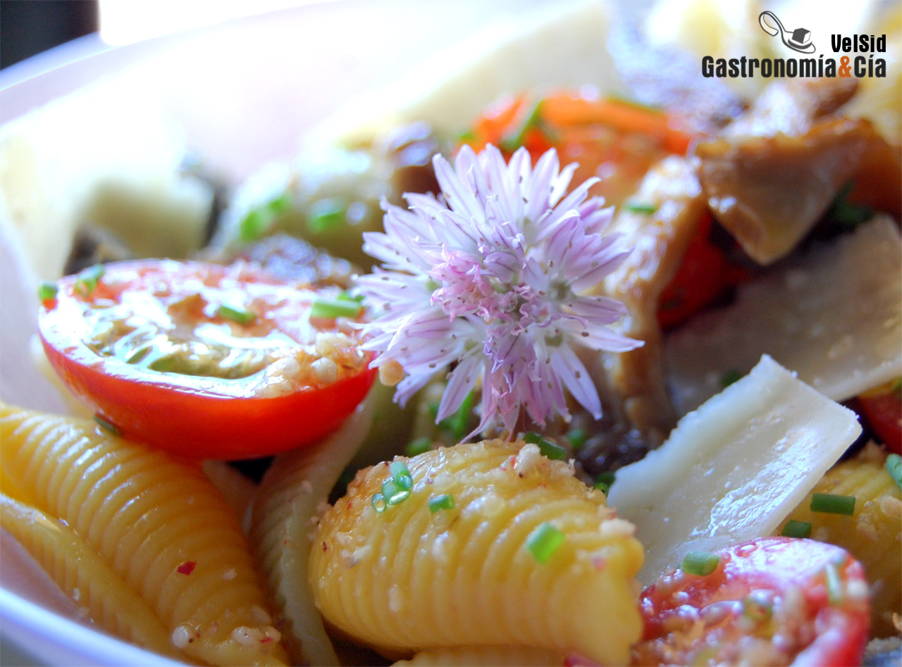 Ensalada de pasta, setas de cardo y parmesano