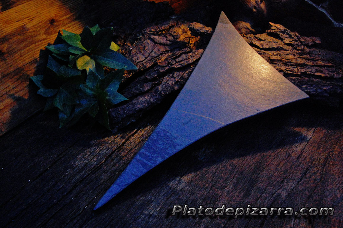 Plato de Pizarra, Novedades 2010