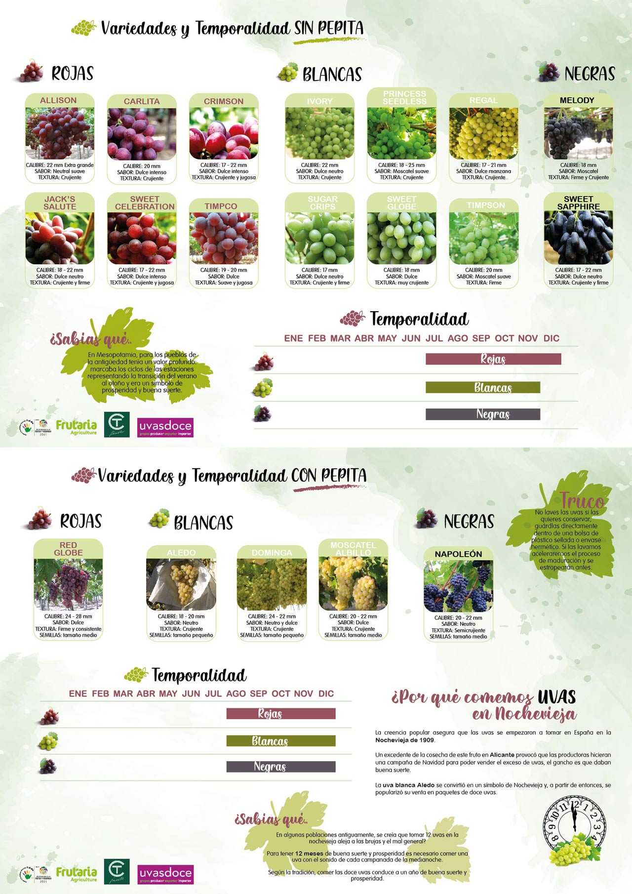 Principales variedades de uva de mesa