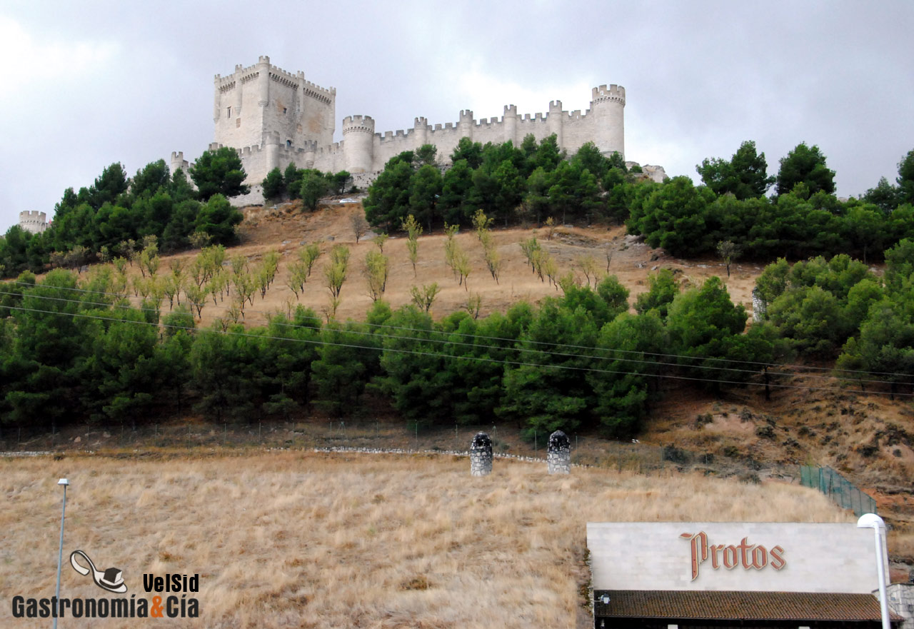 Bodegas Protos D.O. Ribera del Duero