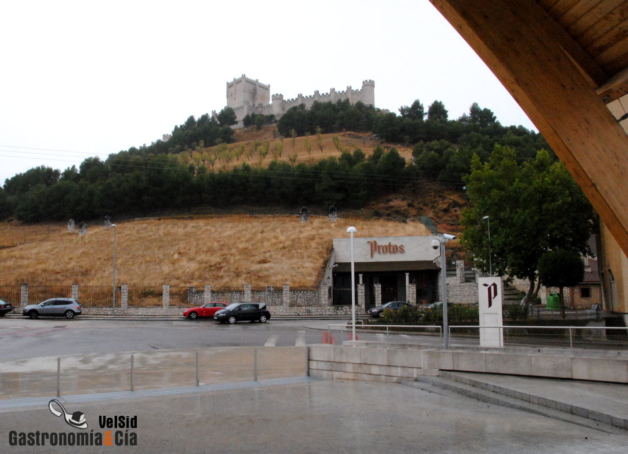 Bodegas Protos D.O. Ribera del Duero