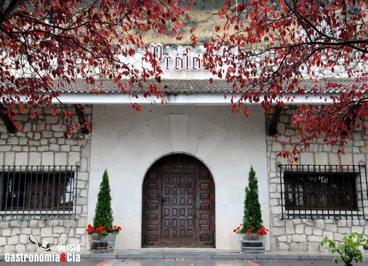 Bodegas Protos D.O. Ribera del Duero