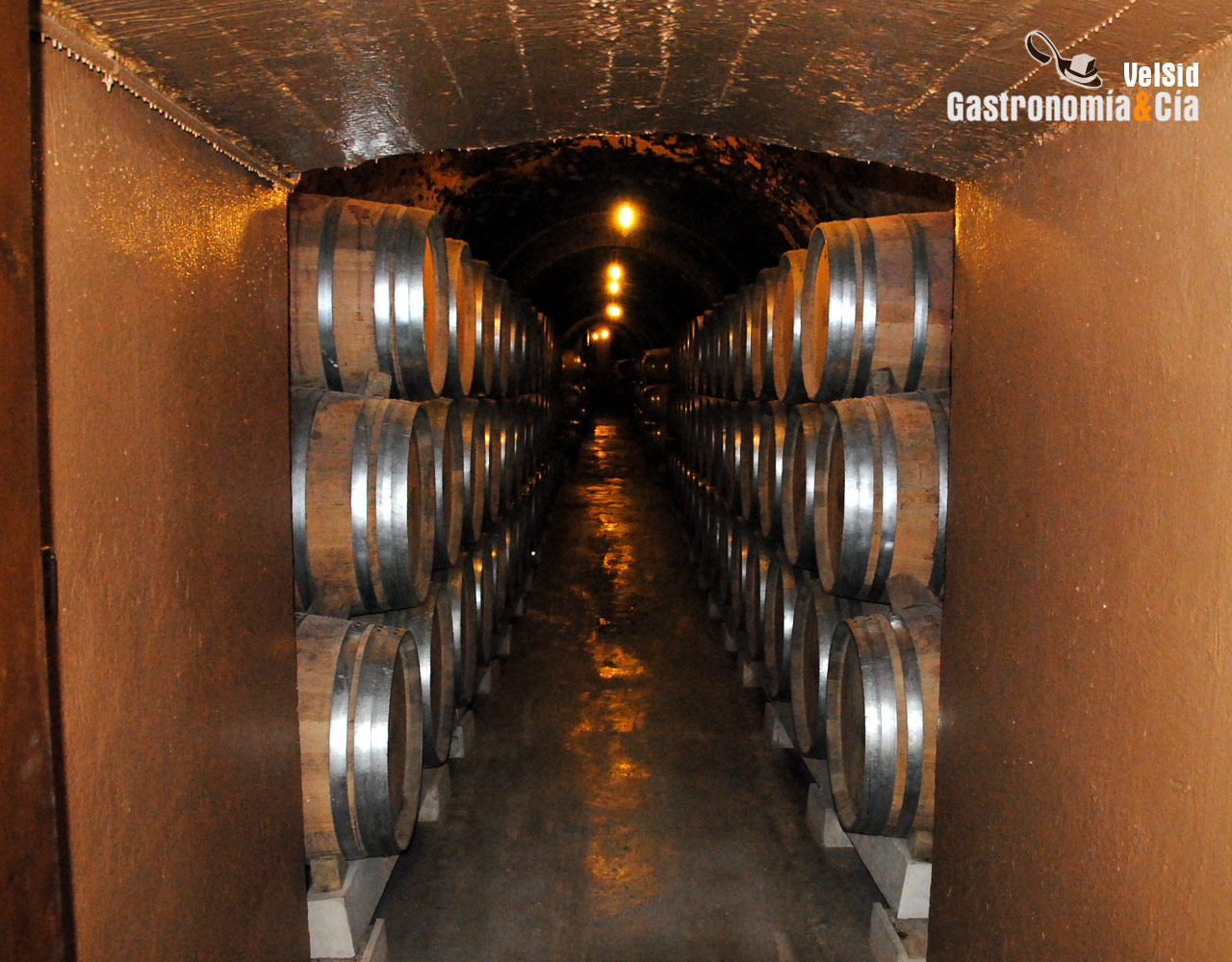 Bodegas Protos D.O. Ribera del Duero