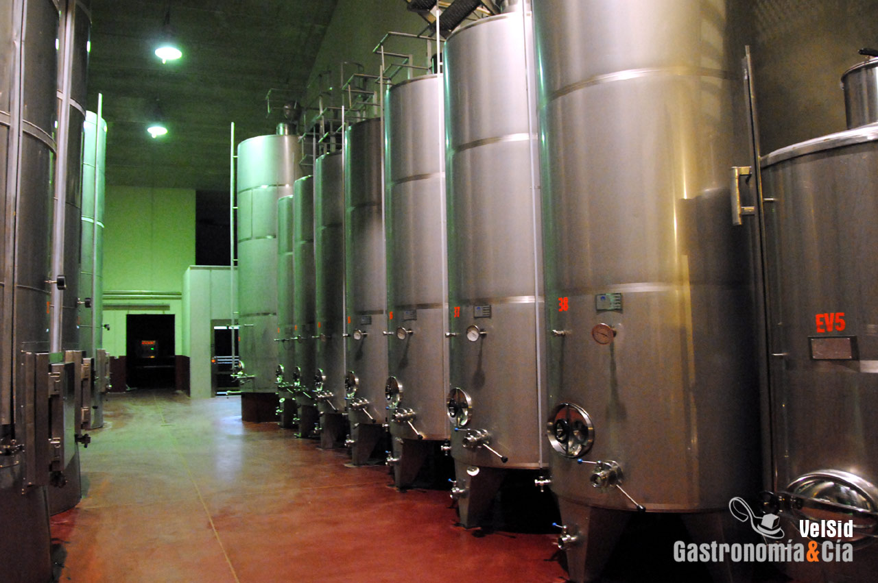 Bodegas Protos D.O. Ribera del Duero