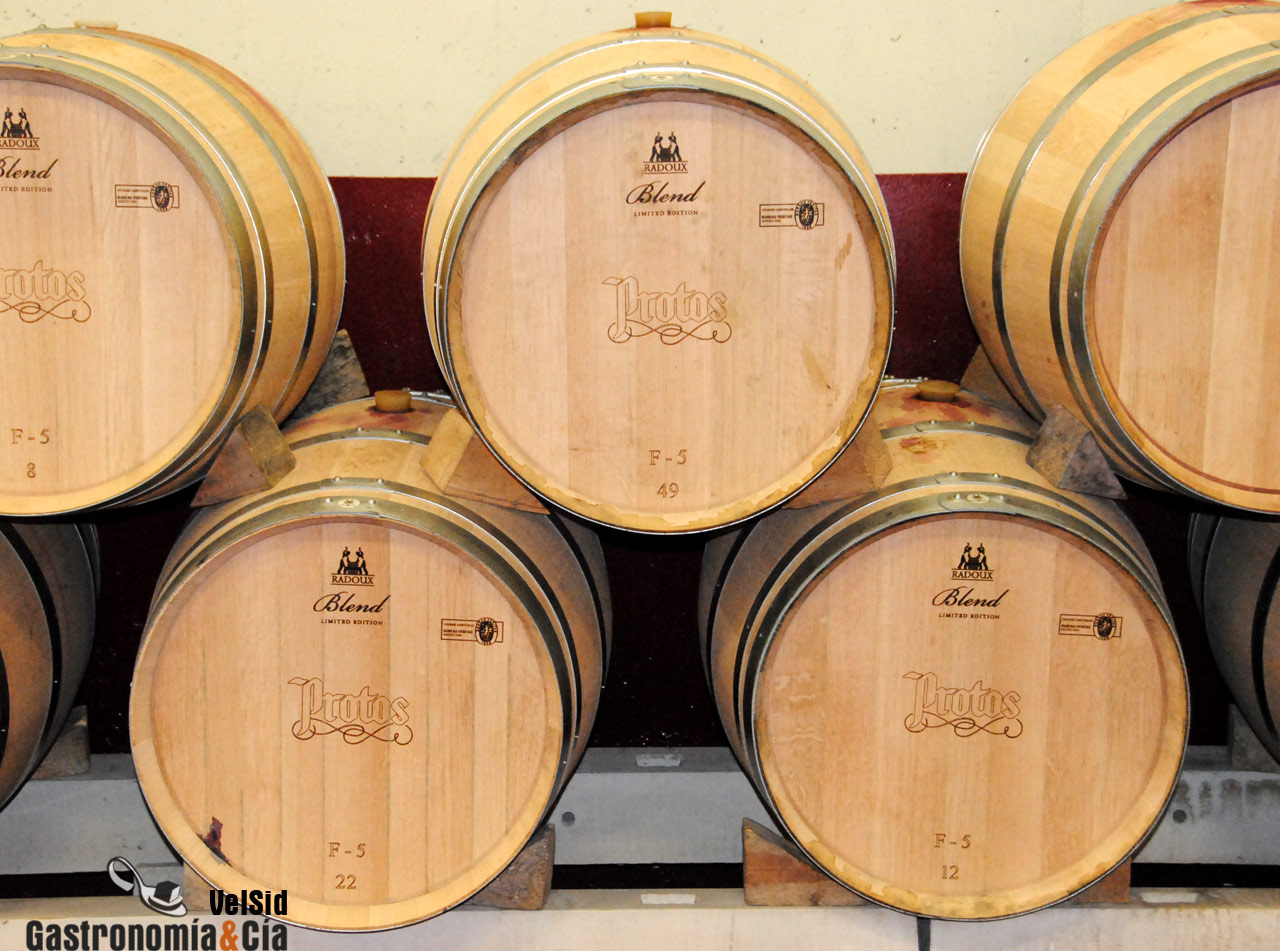 Bodegas Protos D.O. Ribera del Duero