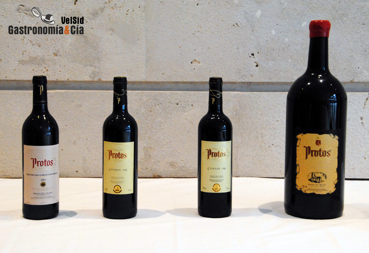 Bodegas Protos D.O. Ribera del Duero