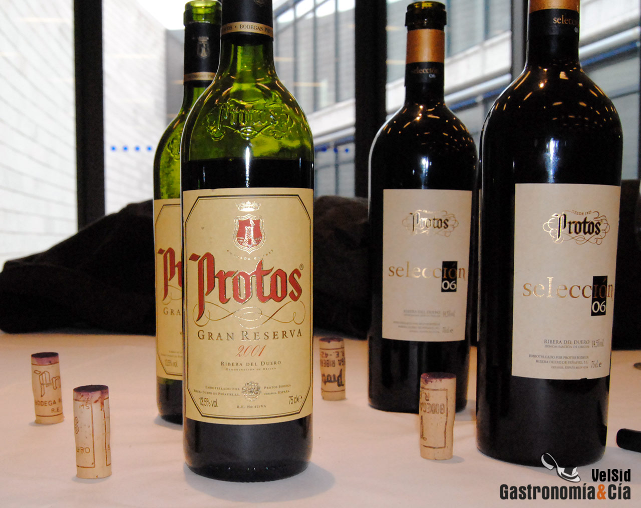 Bodegas Protos D.O. Ribera del Duero
