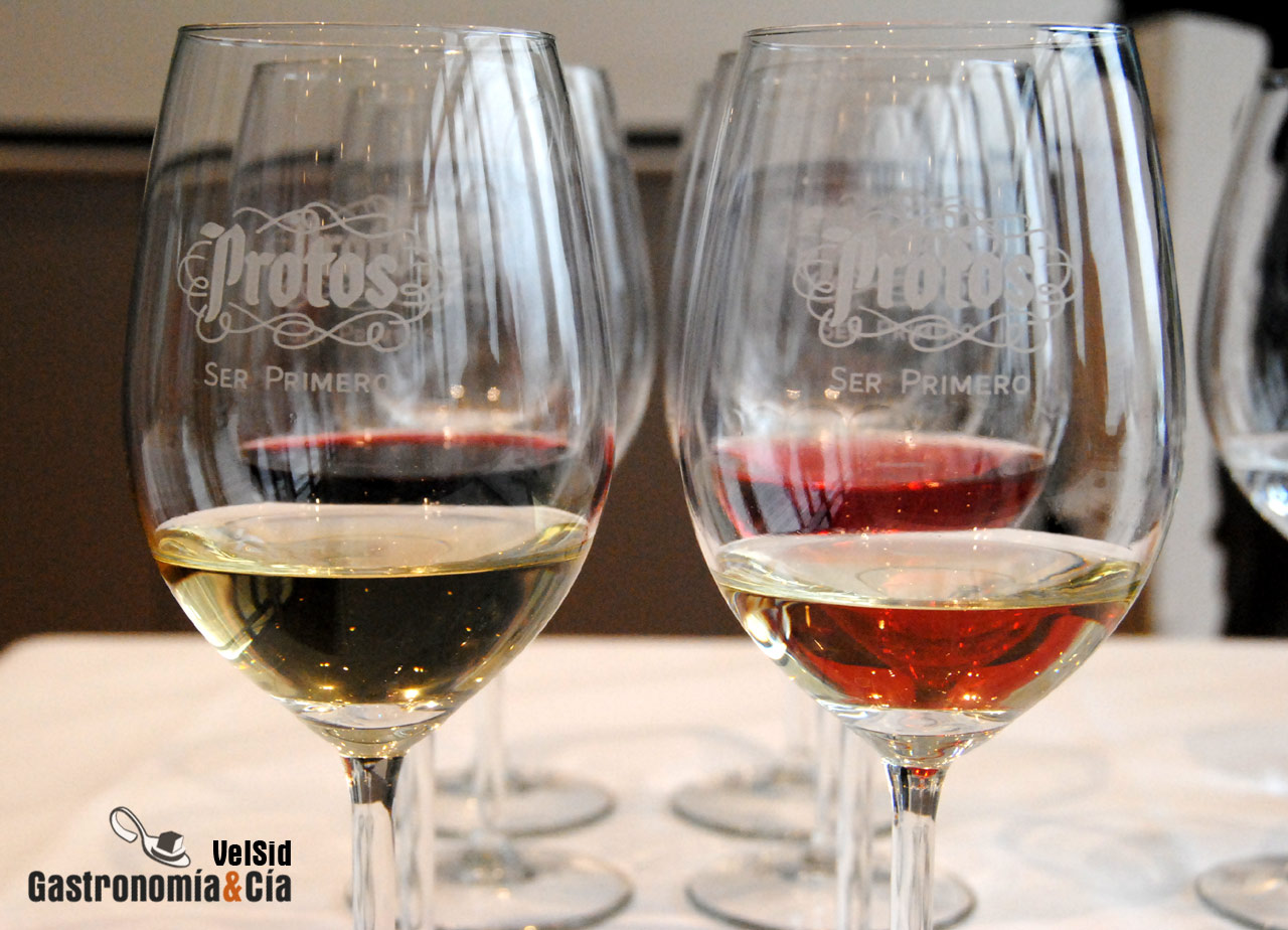 Bodegas Protos D.O. Ribera del Duero