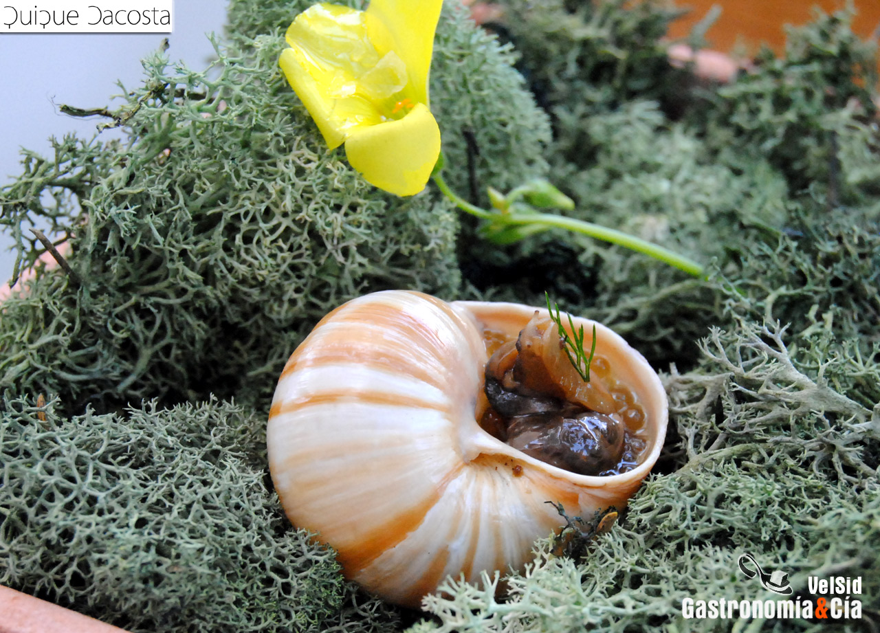 Menú Degustación Sale el Sol