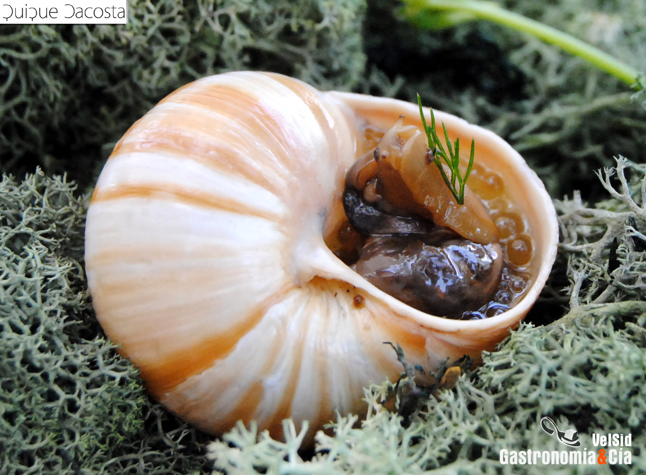 Menú Degustación Sale el Sol