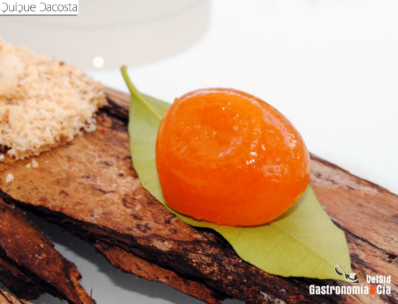 Menú Degustación Sale el Sol