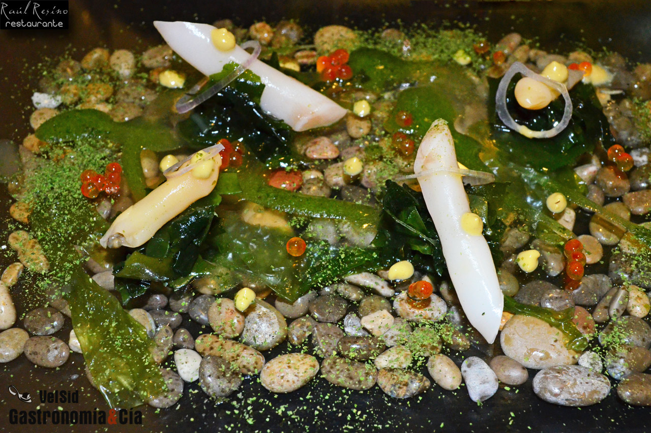 Navajas en su hábitat