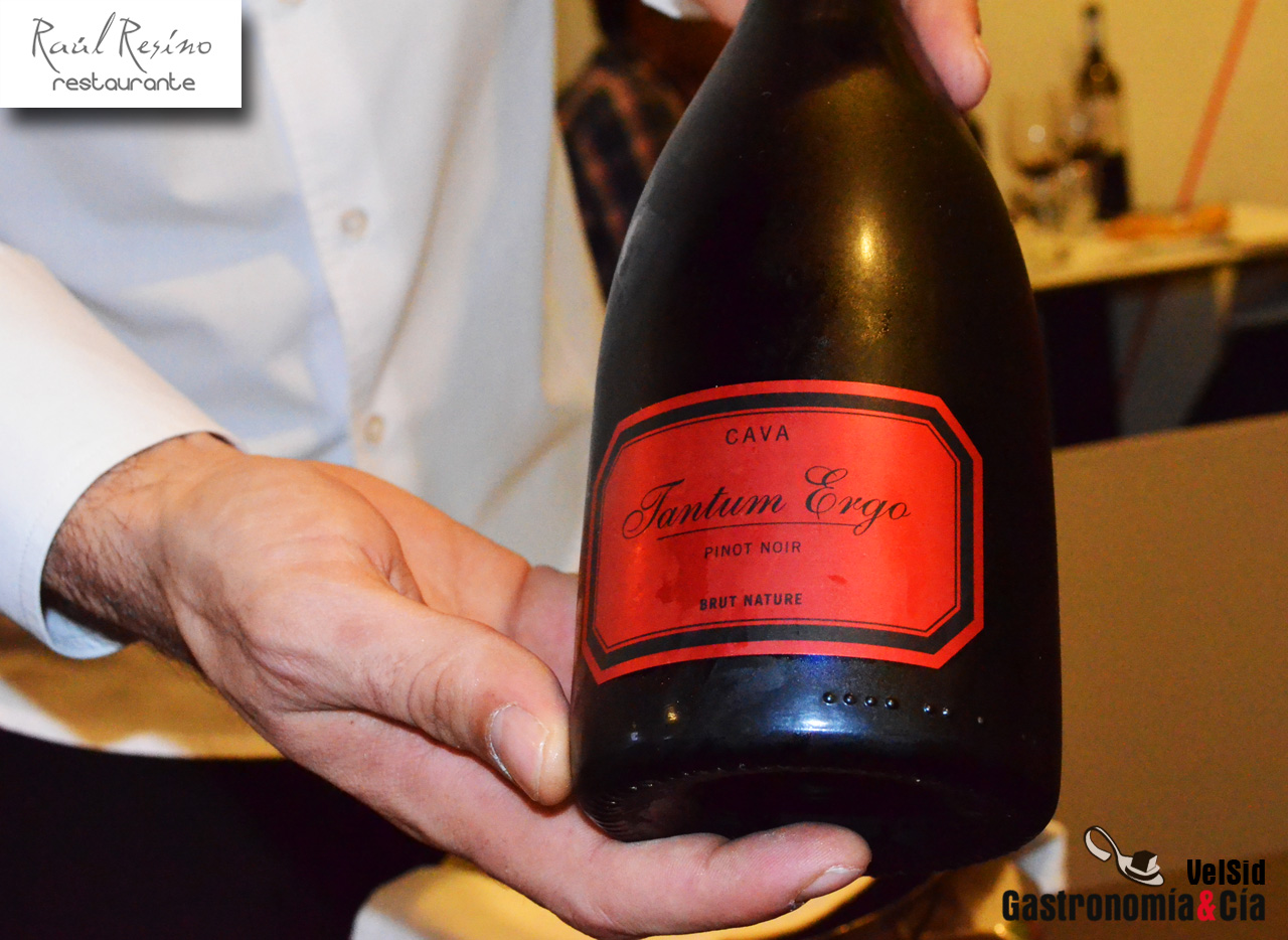 Raúl Resino. Jornadas de la alcachofa