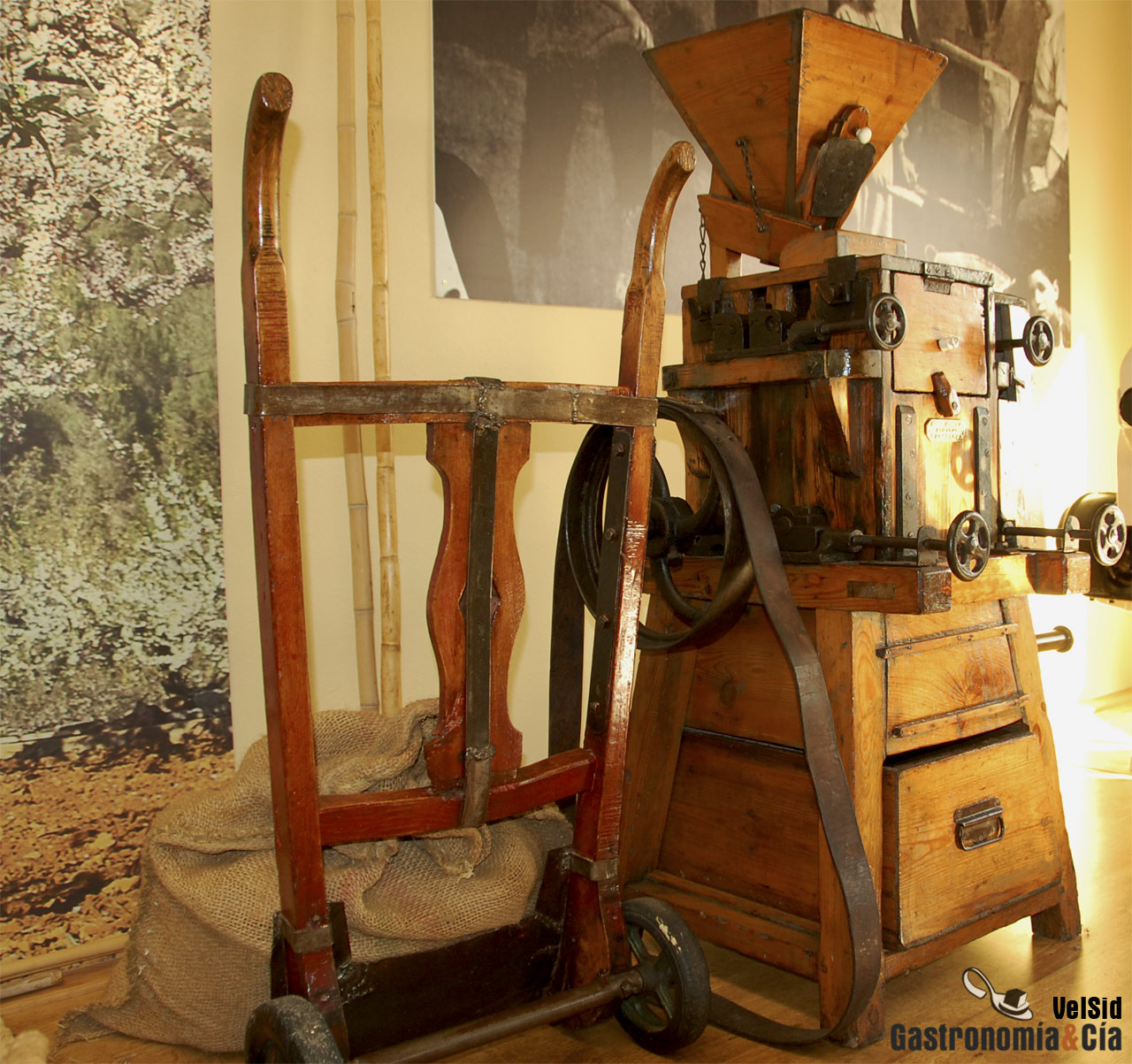 Refinadora de frutos secos