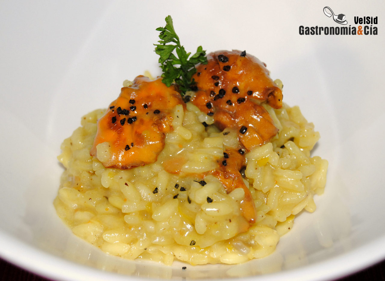 Risotto de rebozuelos