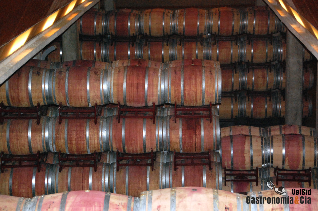 Detalle sala barricas