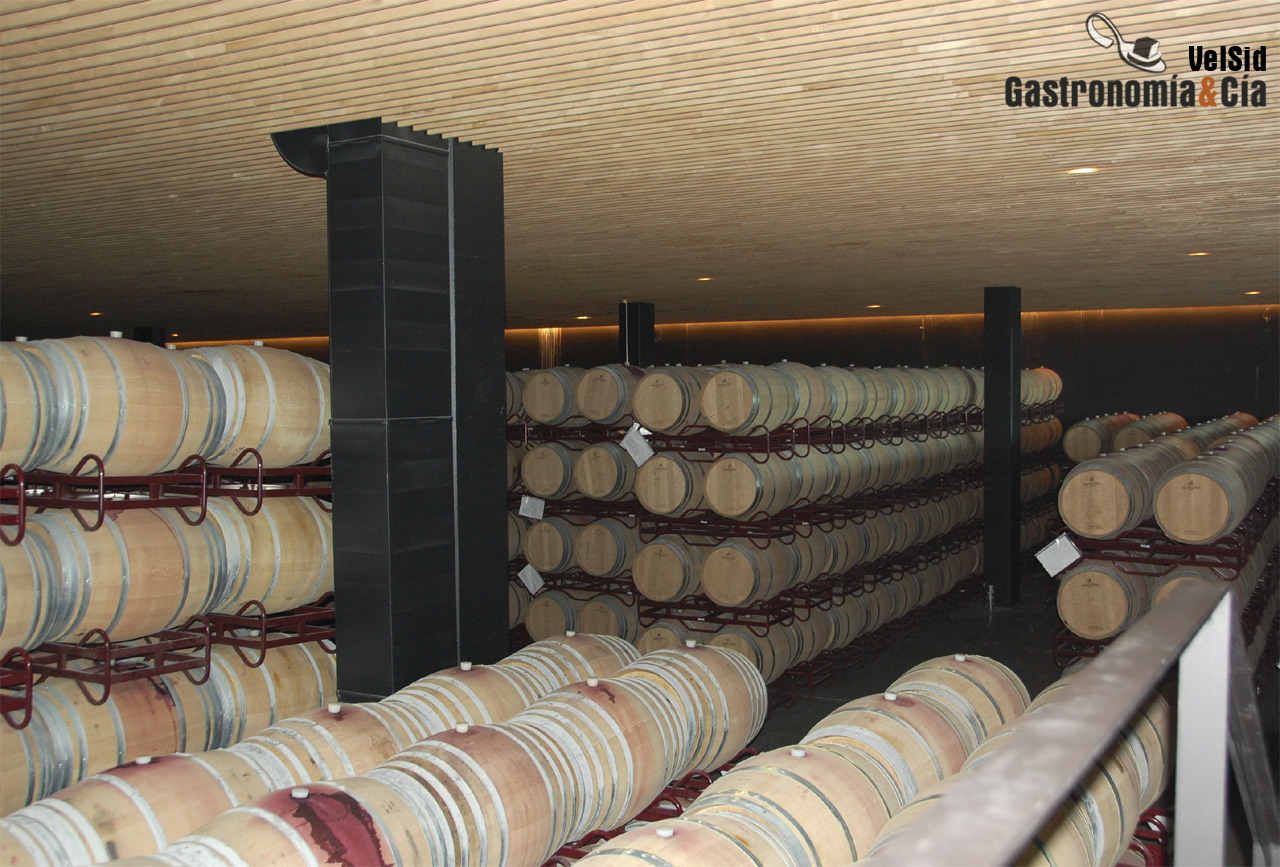 Inmensa sala de barricas