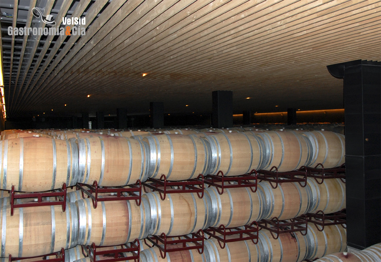 Sala de barricas Bodegas Laus